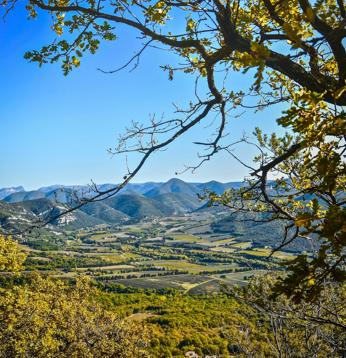 drome nature