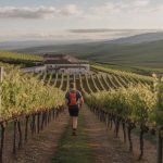 Randonnées œnotouristiques en Drôme-Ardèche : marier nature et viticulture