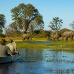 Voyage au botswana : les incontournables à découvrir