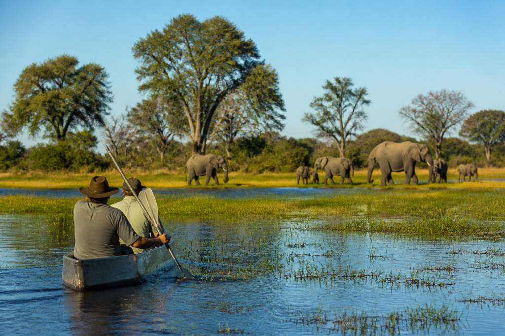 Voyage au botswana : les incontournables à découvrir